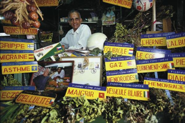 medical herbs
